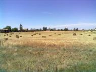 Село Дунаївка