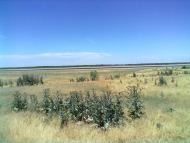 село Гірсівка