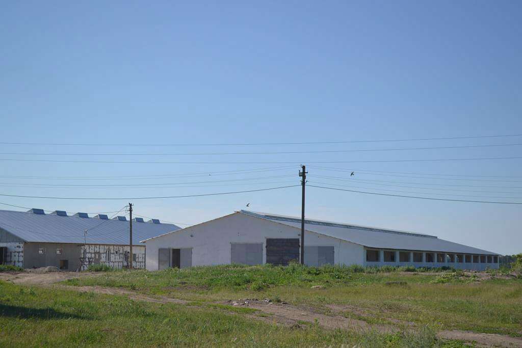 СОБОЛІВКА - Соболівка