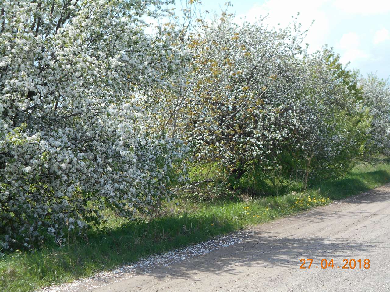 село і люди - Ласков
