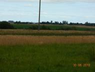 село та люди