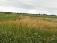 село та люди