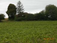 село та люди