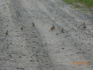 село та люди