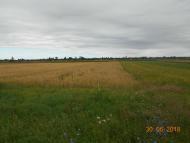 село та люди