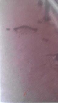 Розвалений міст в Миргороді