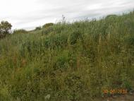 село та люди