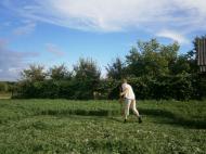 Папужинці у фотографіях