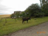 село та люди