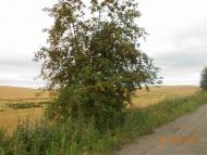 село та люди