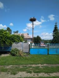 Папужинці у фотографіях