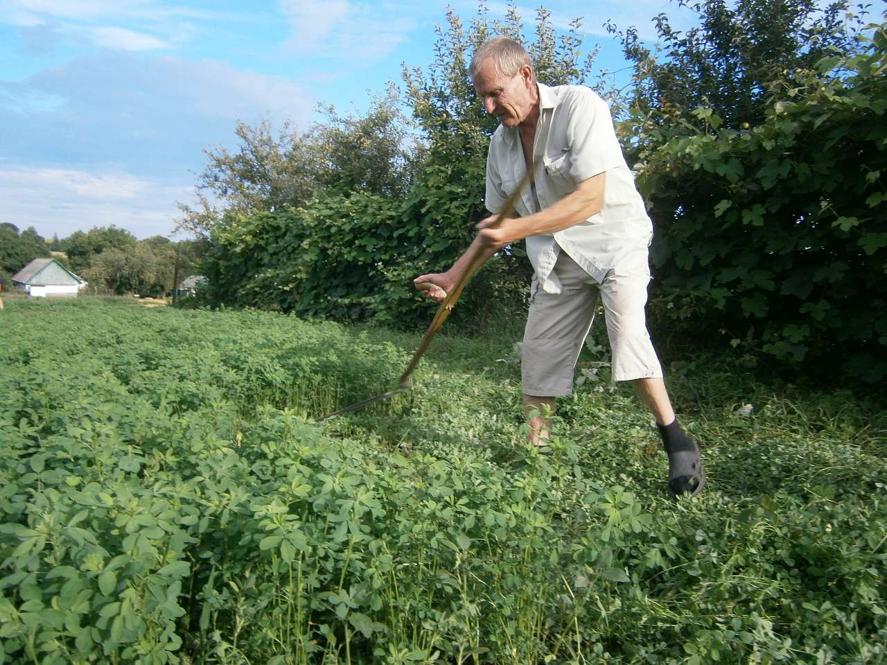 Папужинці у фотографіях - Папужинці