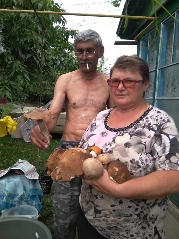Папужани - Папужинці