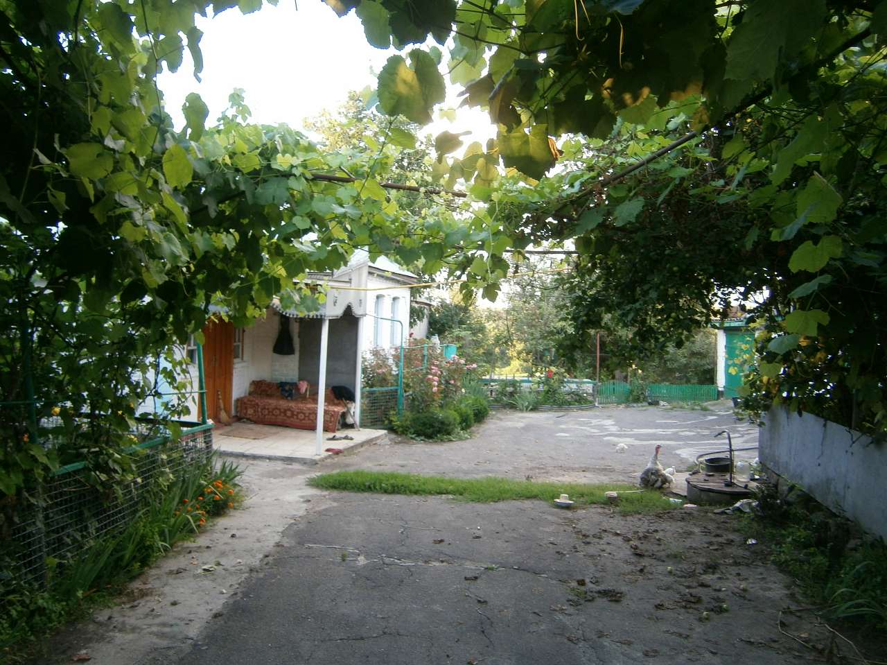 Папужинці у фотографіях - Папужинцы