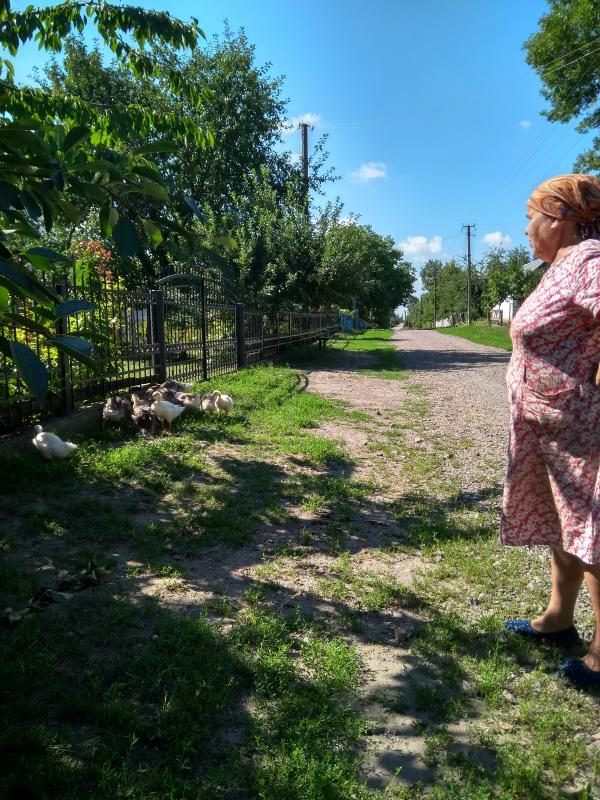 Папужинці у фотографіях - Папужинцы