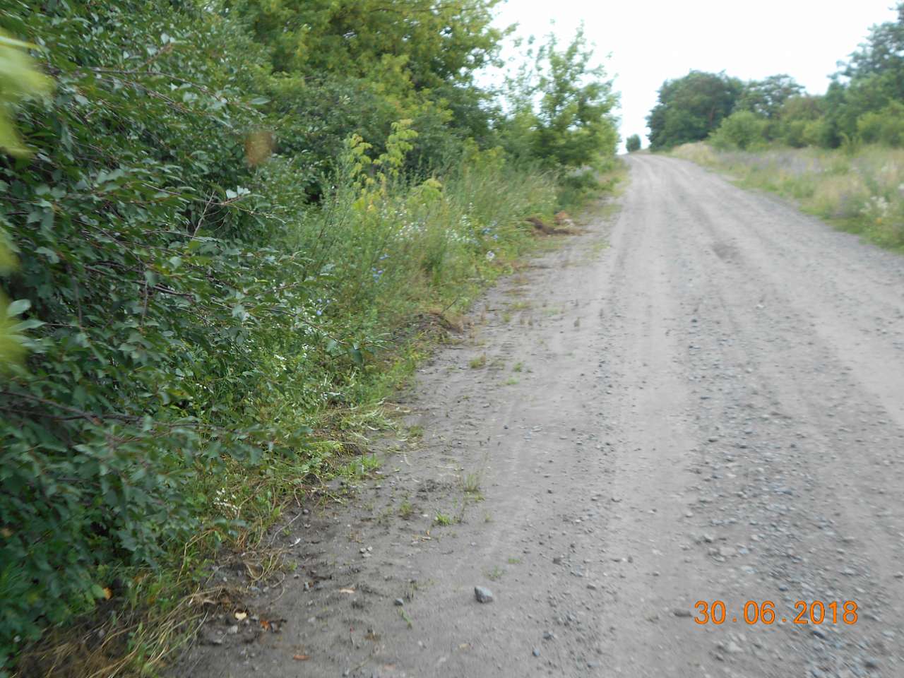 село та люди - Дарницьке