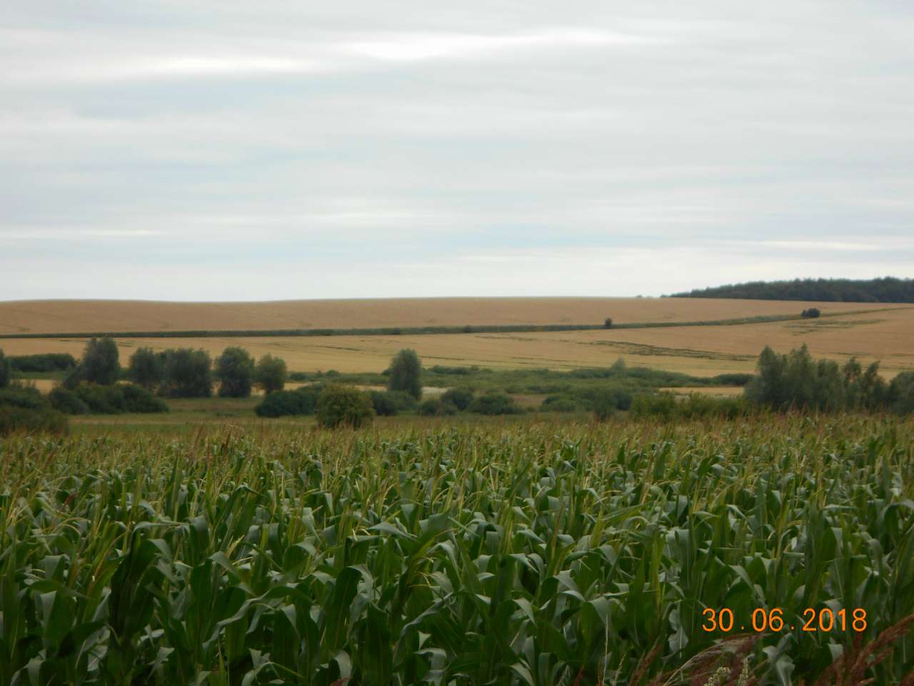 село та люди - Darnytske