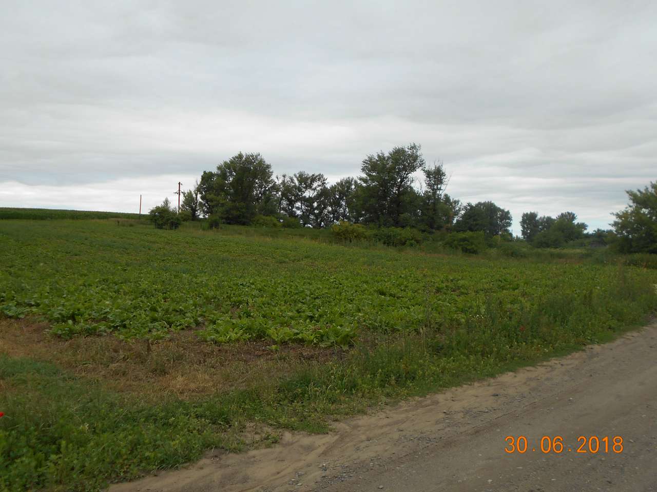 село та люди - Darnytske