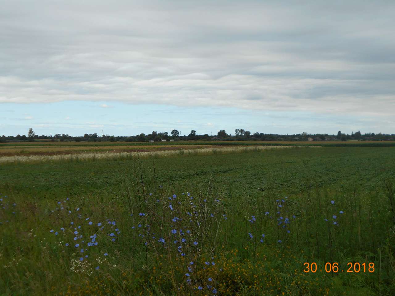 село та люди - Darnytske