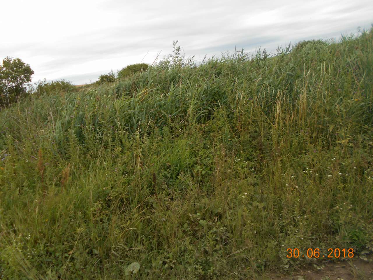 село та люди - Darnytske