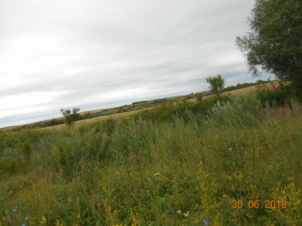 село та люди - Darnytske