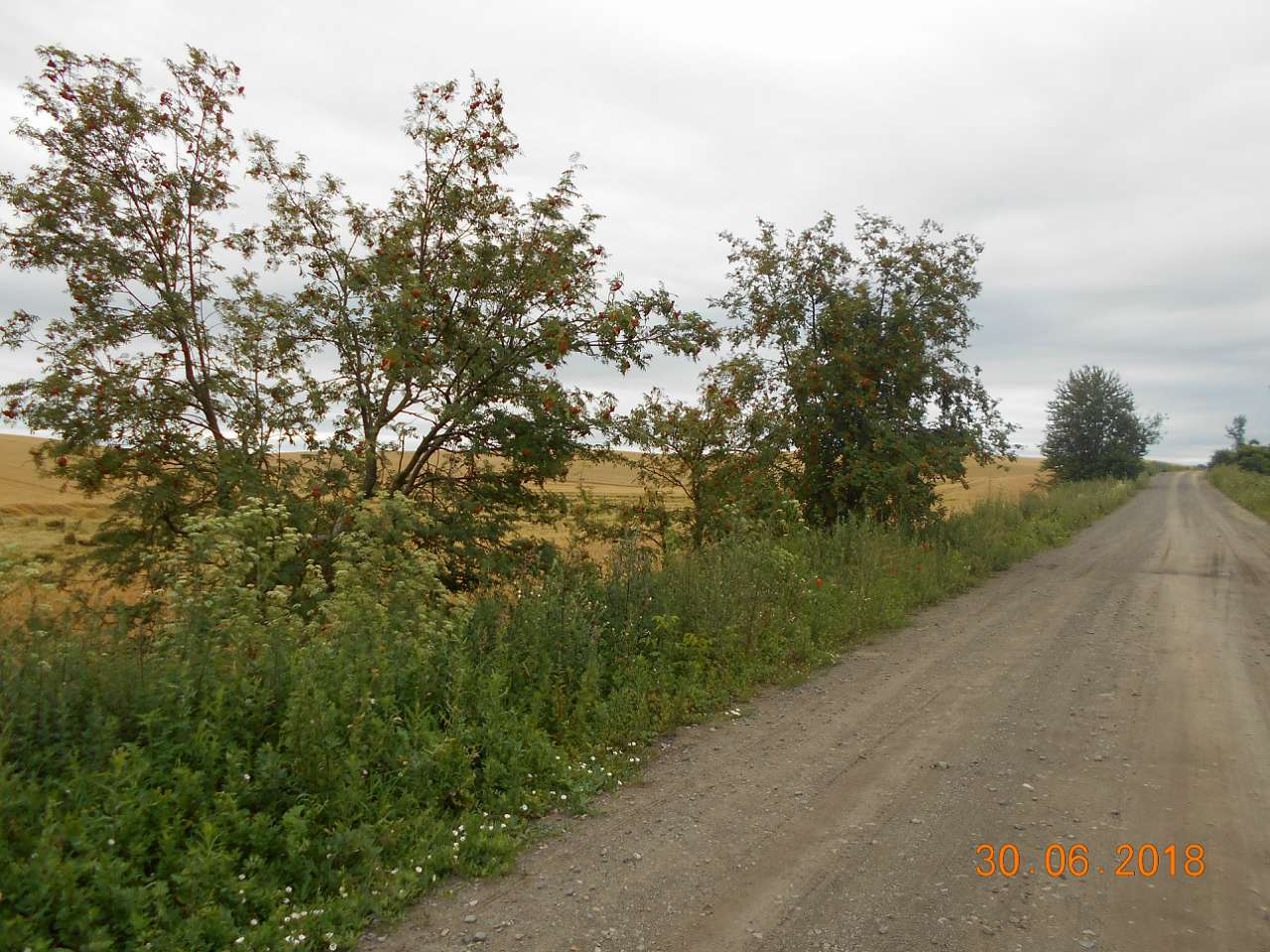 село та люди - Дарницьке