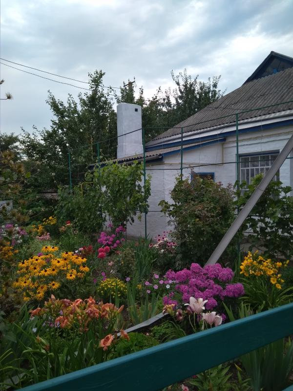 Папужинці у фотографіях - Папужинцы