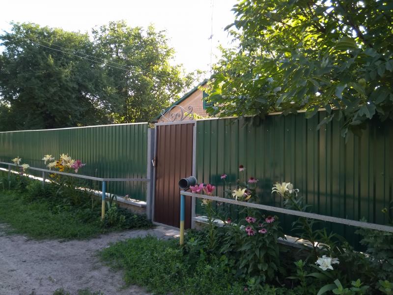 Папужинці у фотографіях - Папужинцы