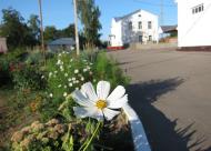 День Независимости Украины