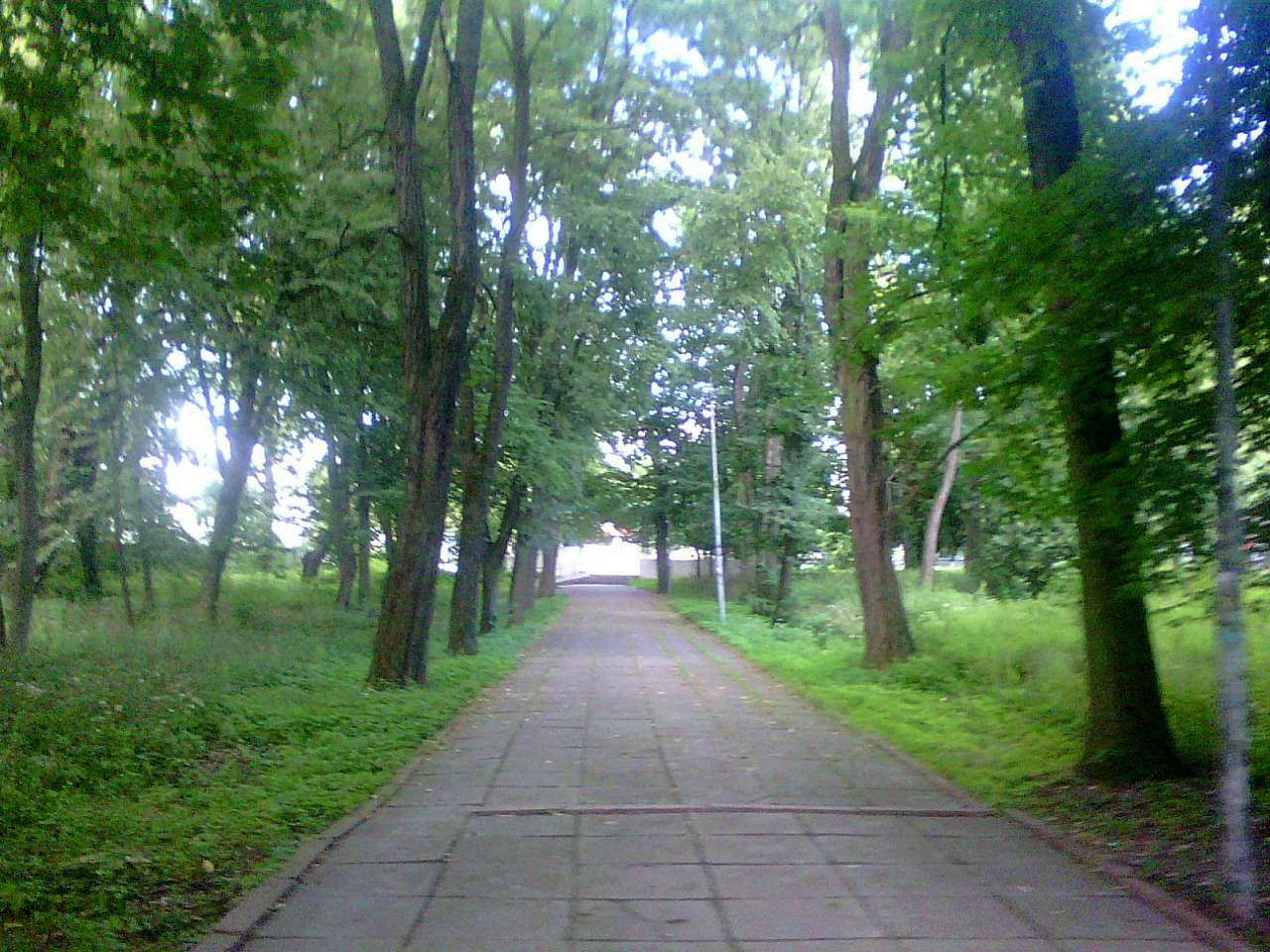 парки - Стрый