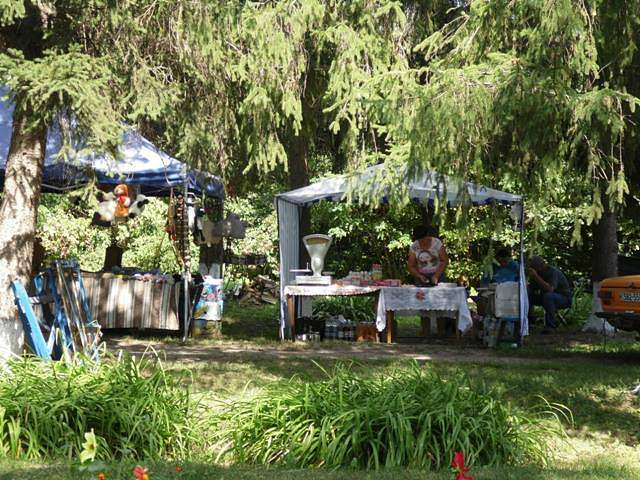 ДЕНЬ  СЕЛА - Сакуниха