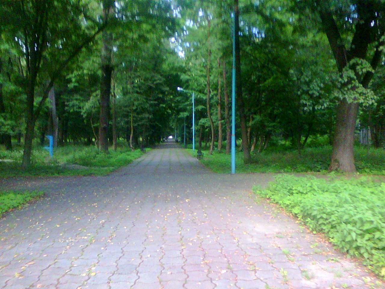 парки - Стрый