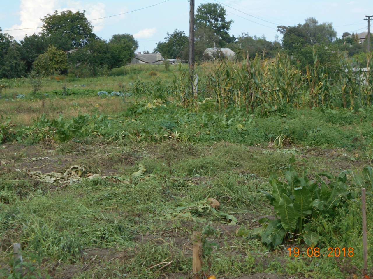 село та люди - Рогожани