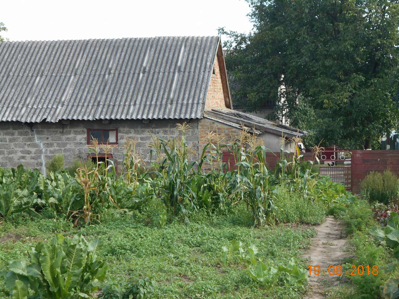 село та люди - Рогожани