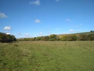 Папужинці у фотографіях