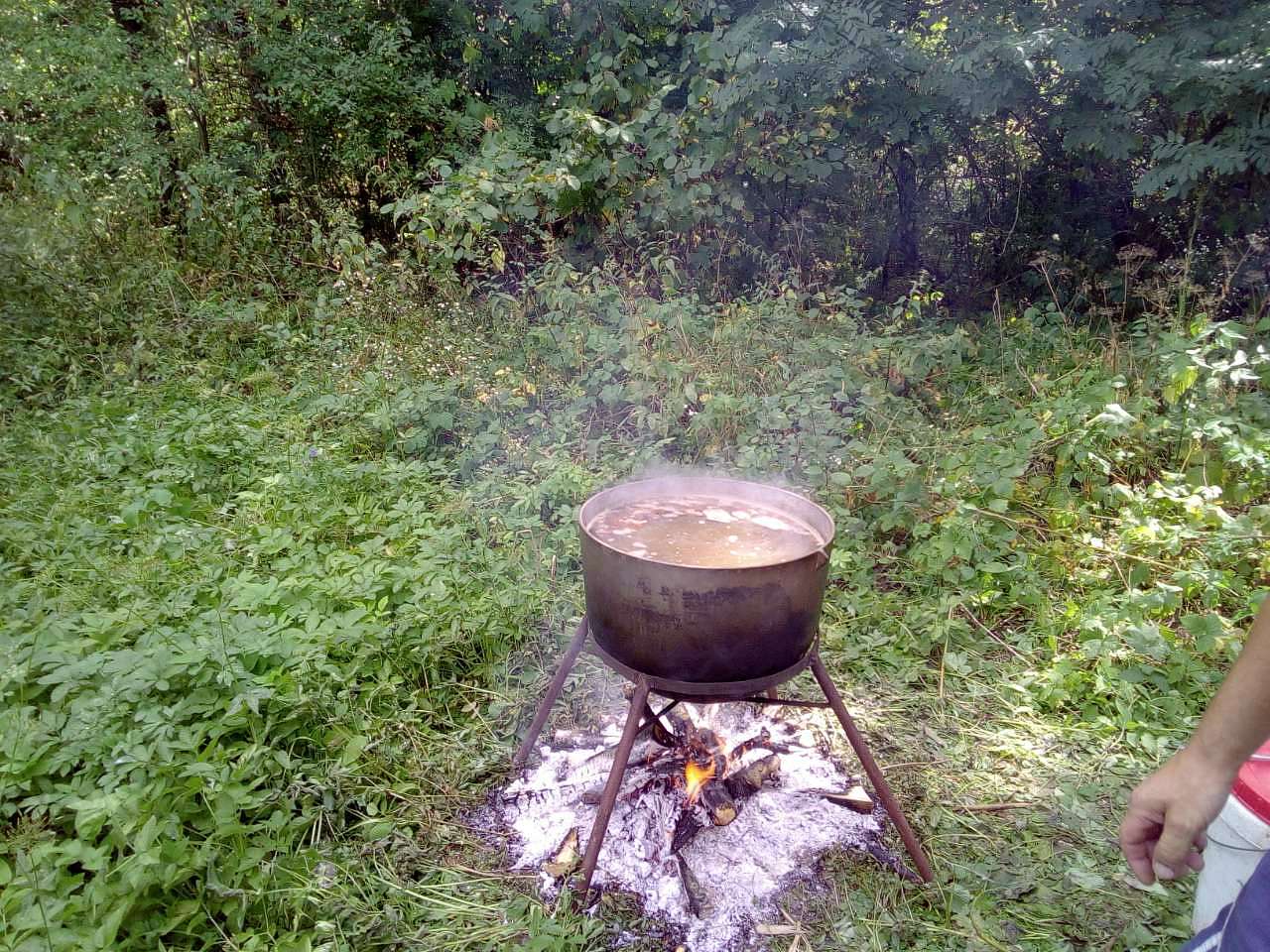 День се­ла Бі­лок­ри­нич­чя - Белокриничье