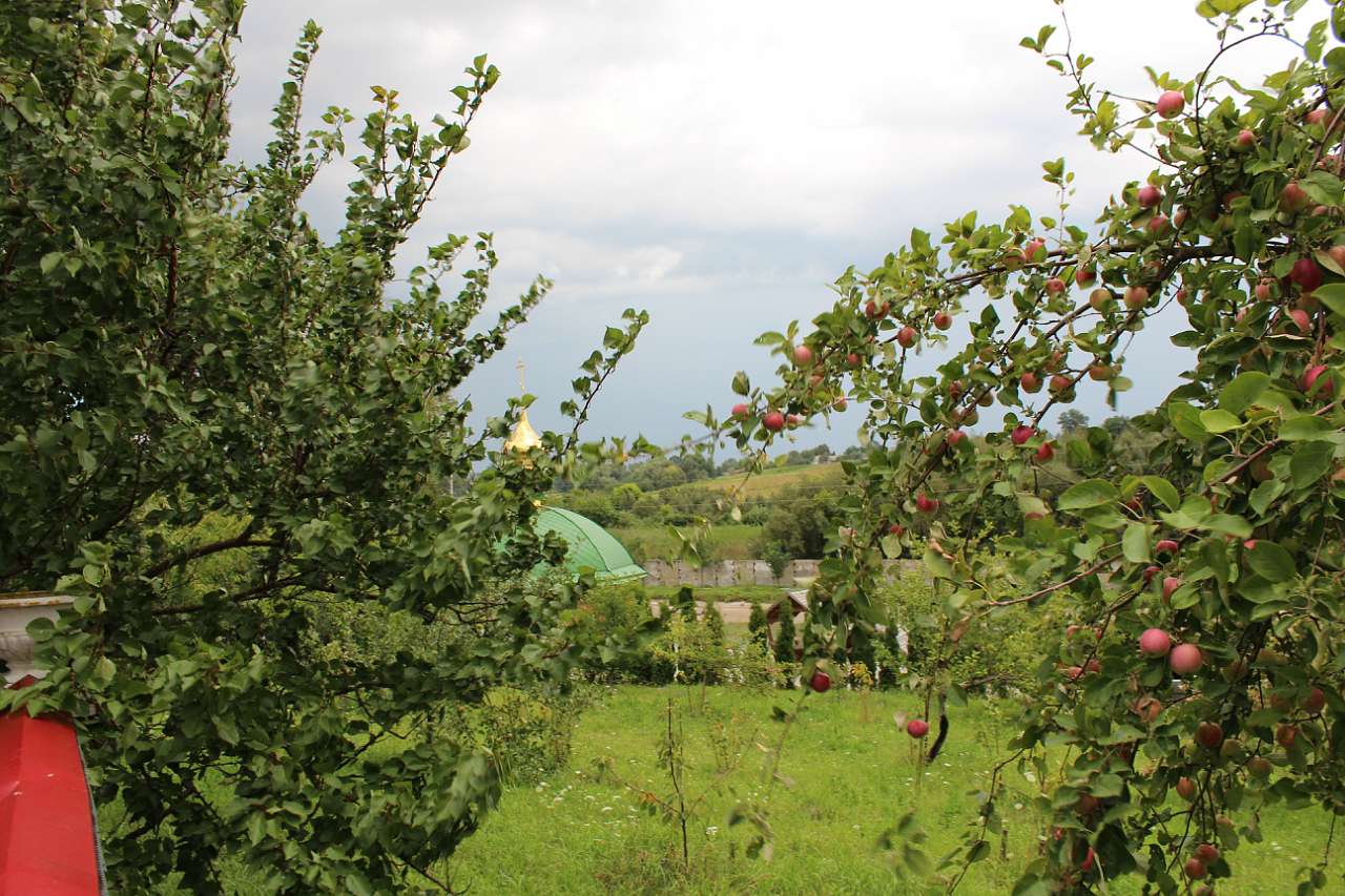 ЛИПКИ. МОНАСТИР. 2018 - Липки