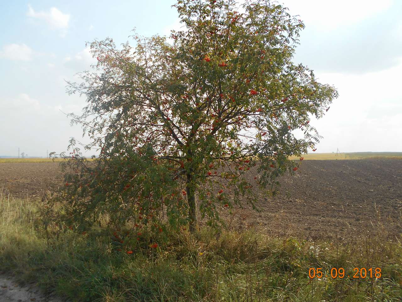 село і люди - Ласків