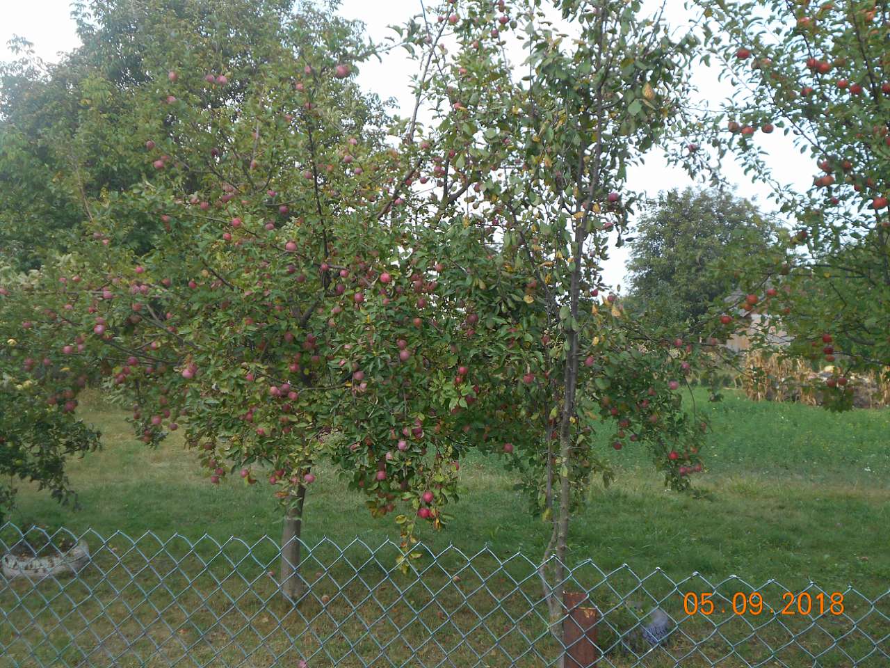 село і люди - Ласків