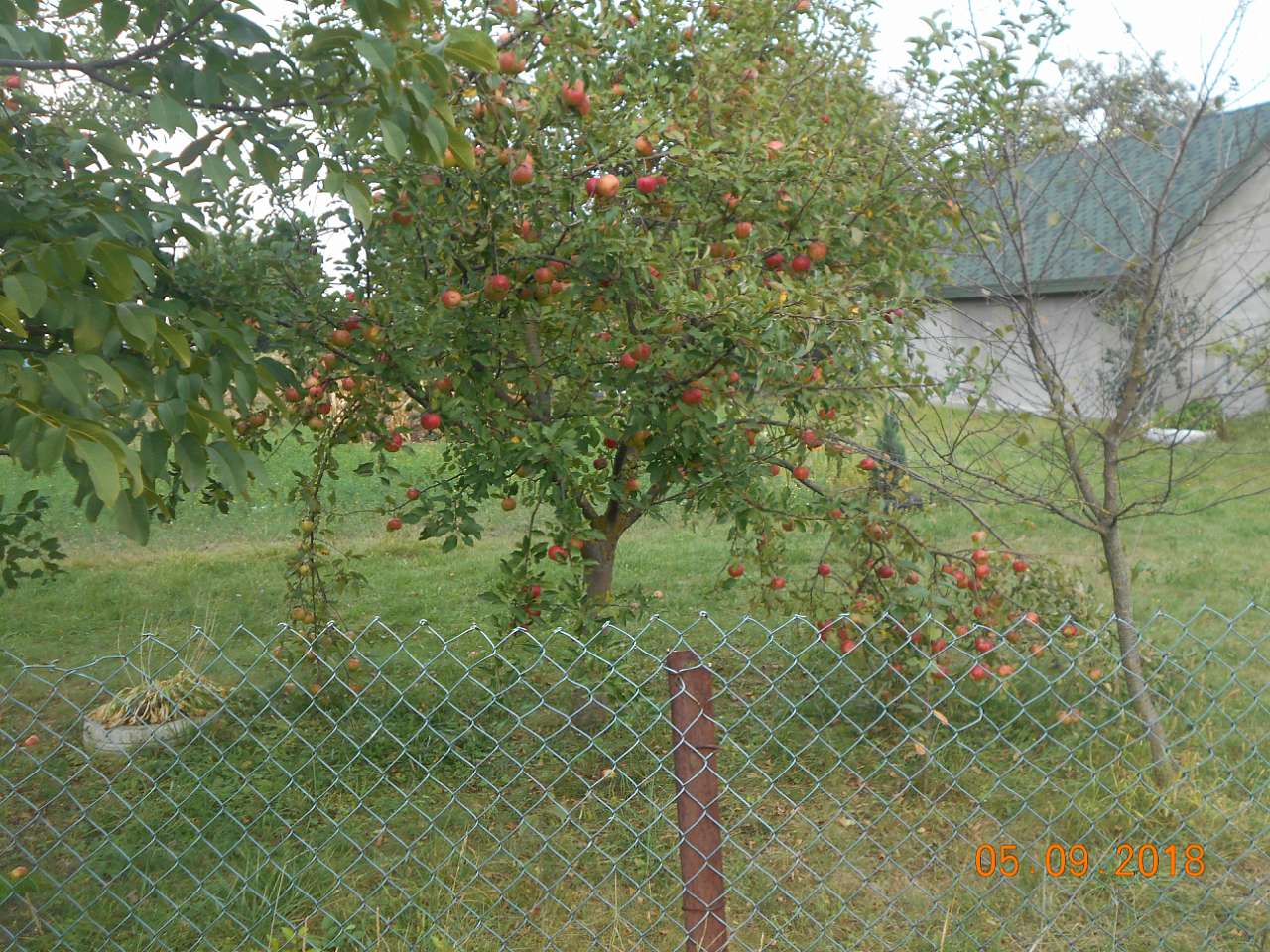 село і люди - Ласків