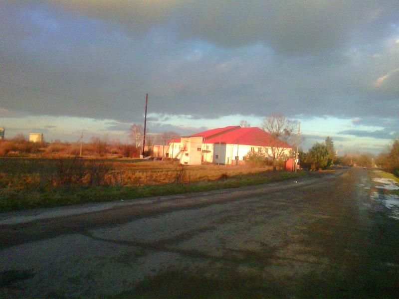 краєвид - Миртюки