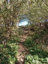 Історико-культурний заповідник Тустань