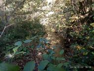 Історико-культурний заповідник Тустань