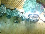 Новоаврамівка - Останні фото