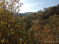 Історико-культурний заповідник Тустань