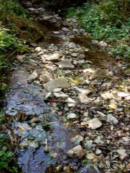 Урич - Останні фото