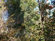 Урич - Останні фото