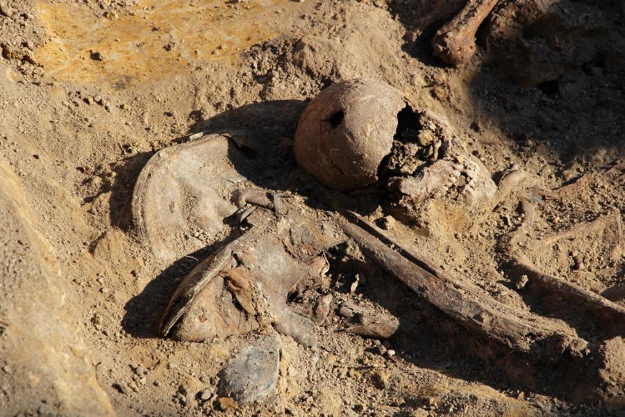 У Дрогобичі виявили нові захоронення жертв НК - Дрогобич