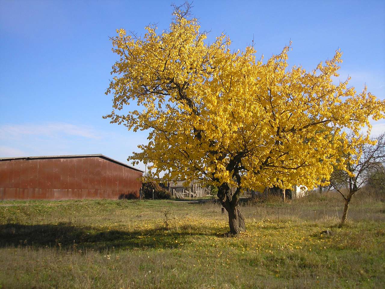 Краєвиди - Михайлики