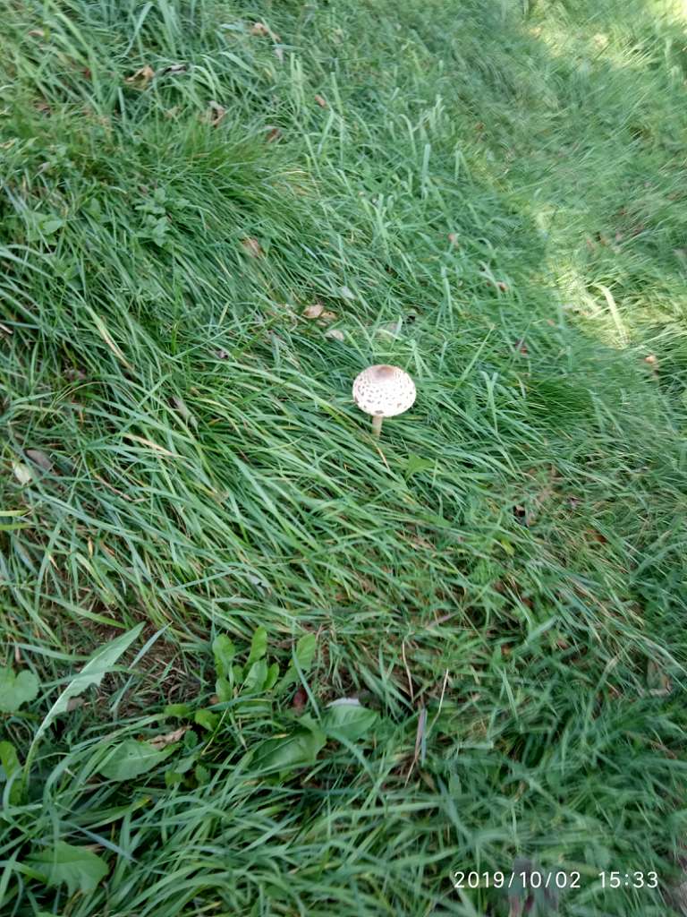 Історико-культурний заповідник Тустань - Урич